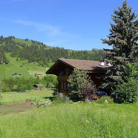 Διαμέρισμα Mannried Zweisimmen